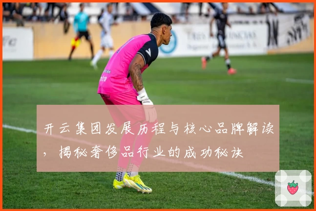 开云集团发展历程与核心品牌解读，揭秘奢侈品行业的成功秘诀