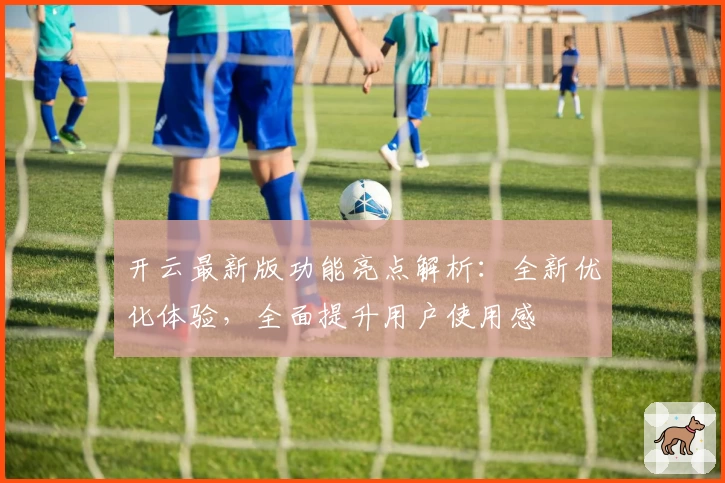 开云最新版功能亮点解析：全新优化体验，全面提升用户使用感