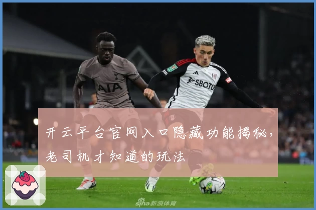 开云平台官网入口隐藏功能揭秘，老司机才知道的玩法