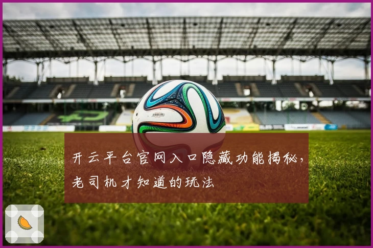 开云平台官网入口隐藏功能揭秘，老司机才知道的玩法