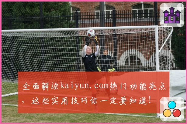 全面解读kaiyun.com热门功能亮点,这些实用技巧你一定要知道!